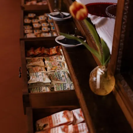 מלון Casa Regina Montis Regalis *